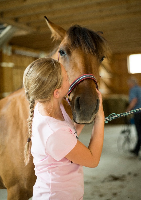 Freies Reiten