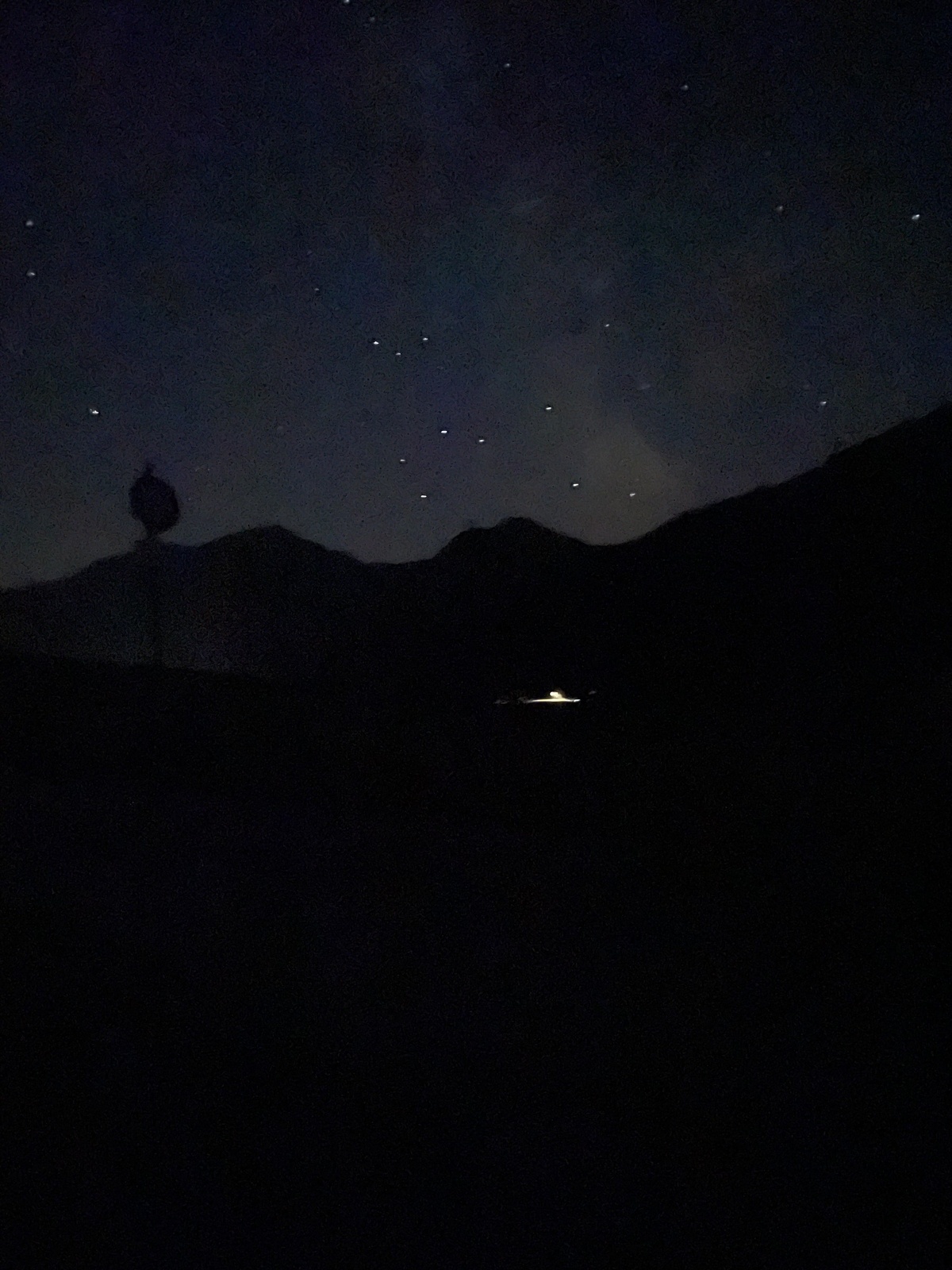 Digestif under the stars🌜