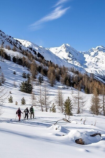 Schneeschuhwanderung - Mastauntal