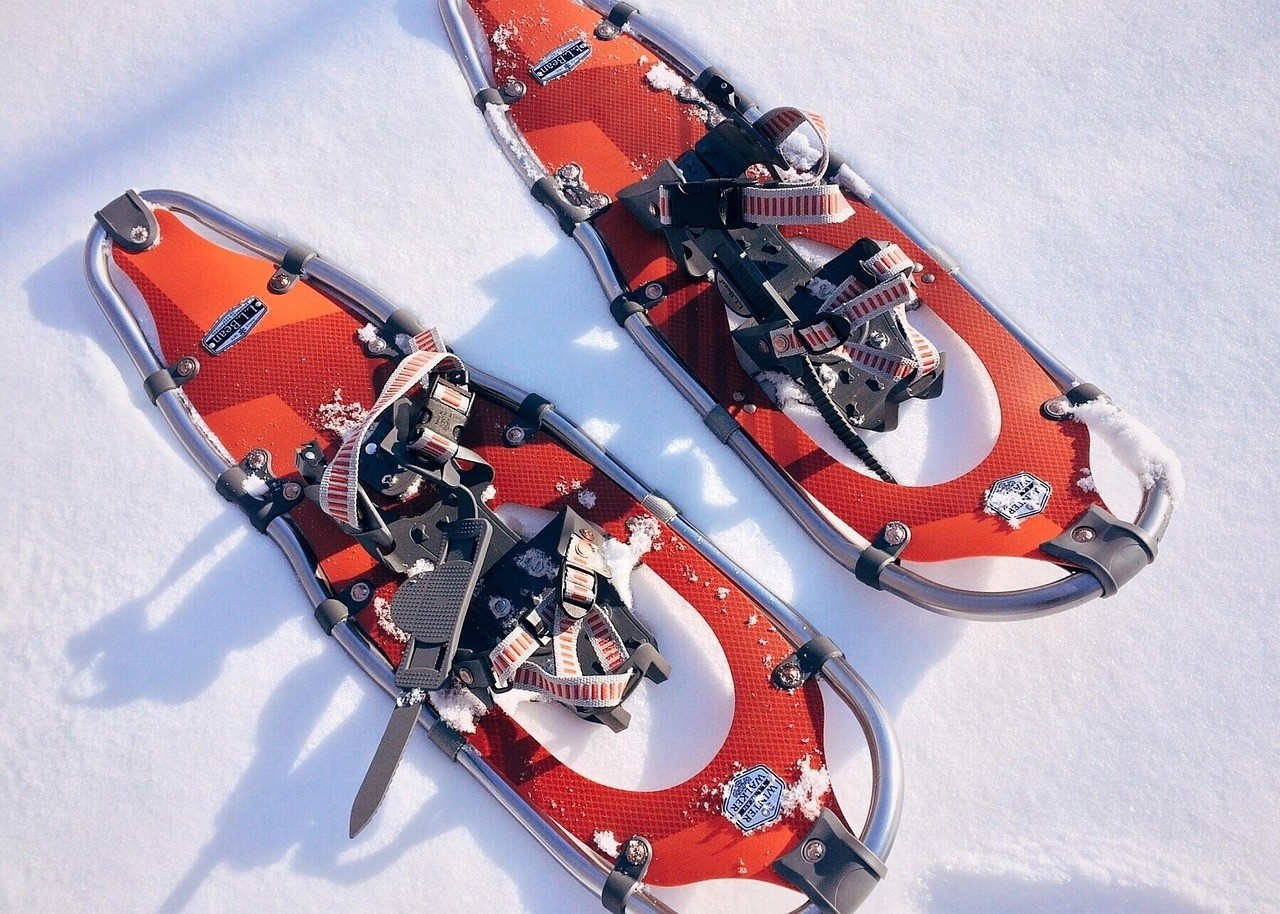 Schneeschuhtour unterm Gamsfuß