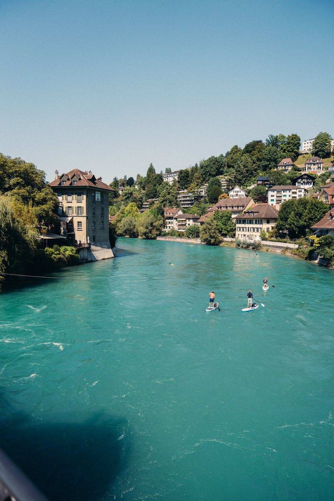 Flussschwimmen in der Aare