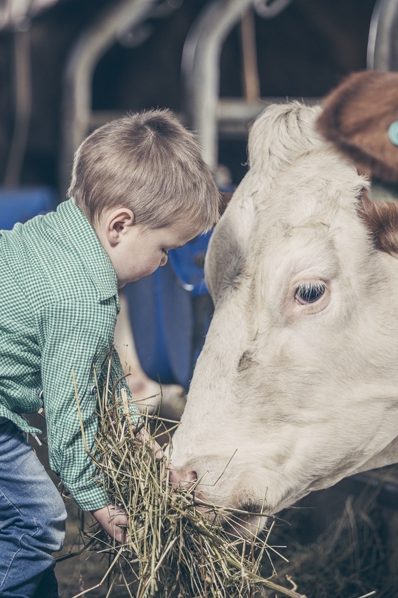 Tiere füttern mit Bauer Walter