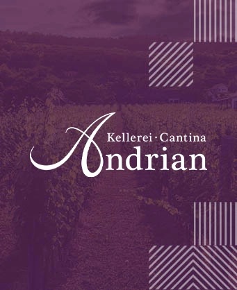 WINERY ANDRIAN | PRESENTATION & DEGUSTATION