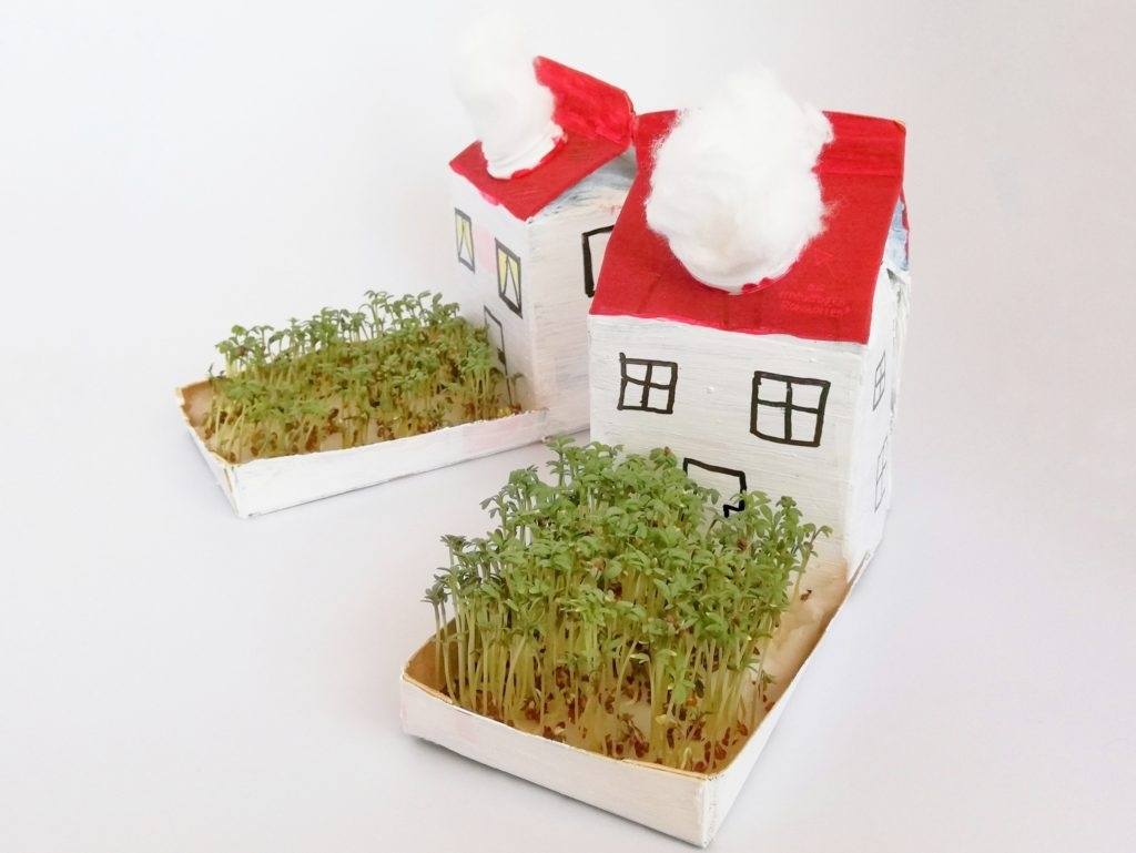 We design a cress house