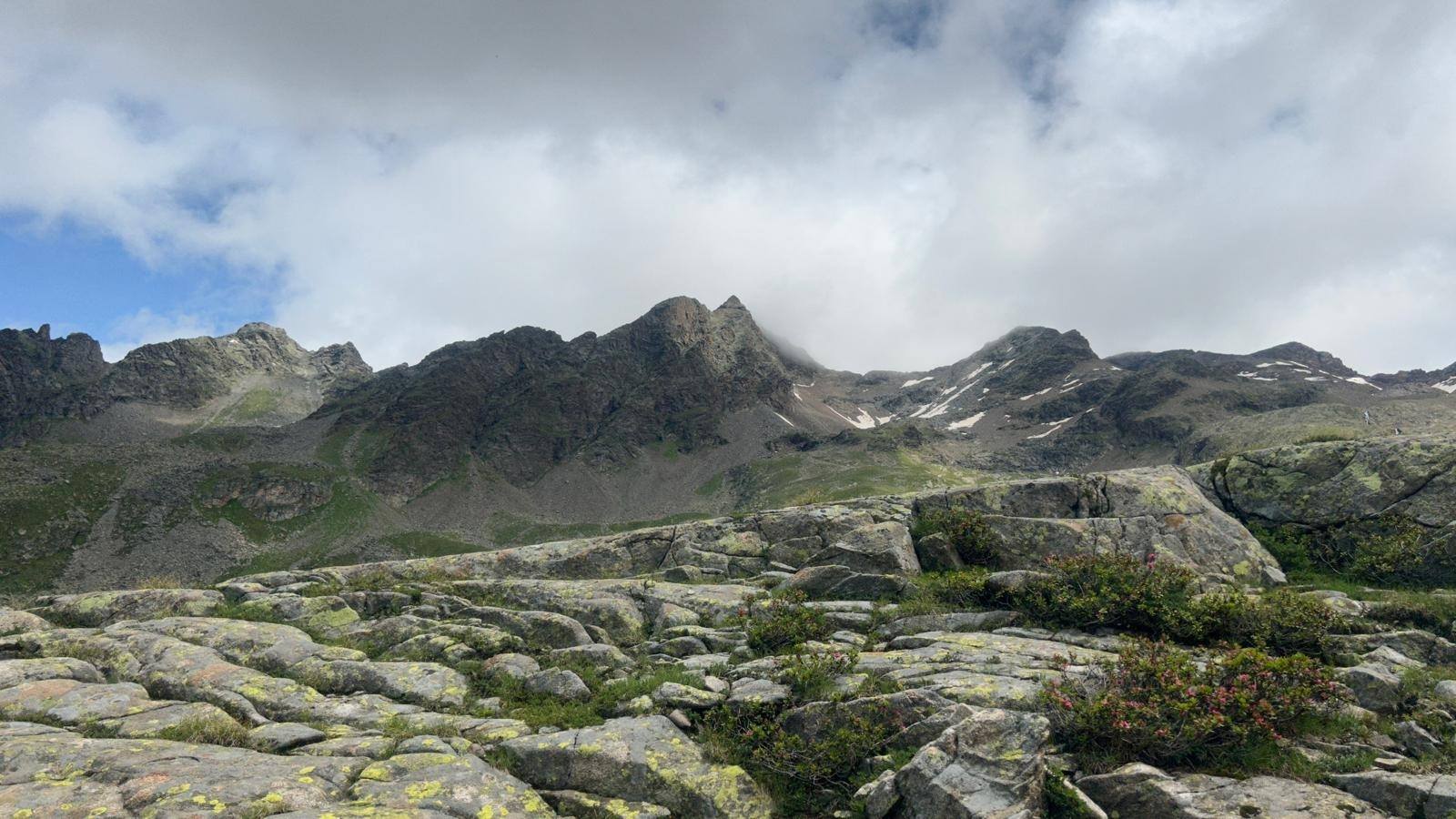 Hike | Arthur Hartdegen way*