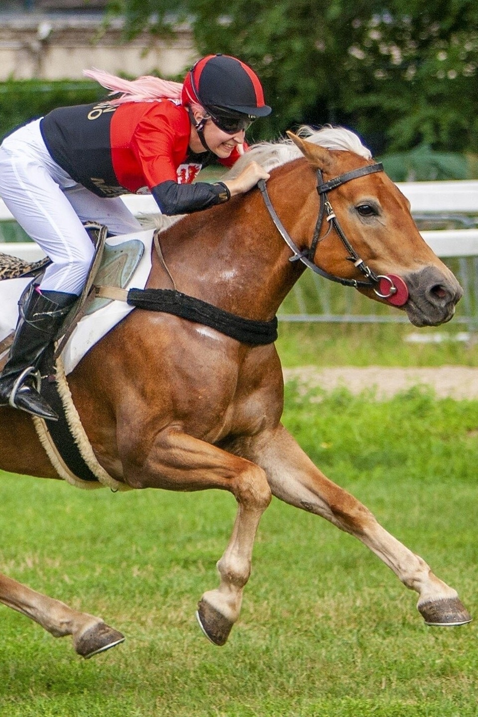 Pferdegalopprennen in Meran