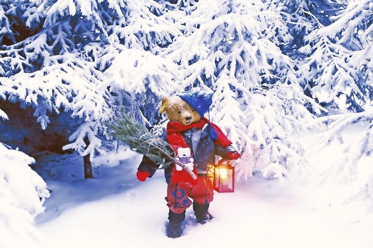 Christmas hike