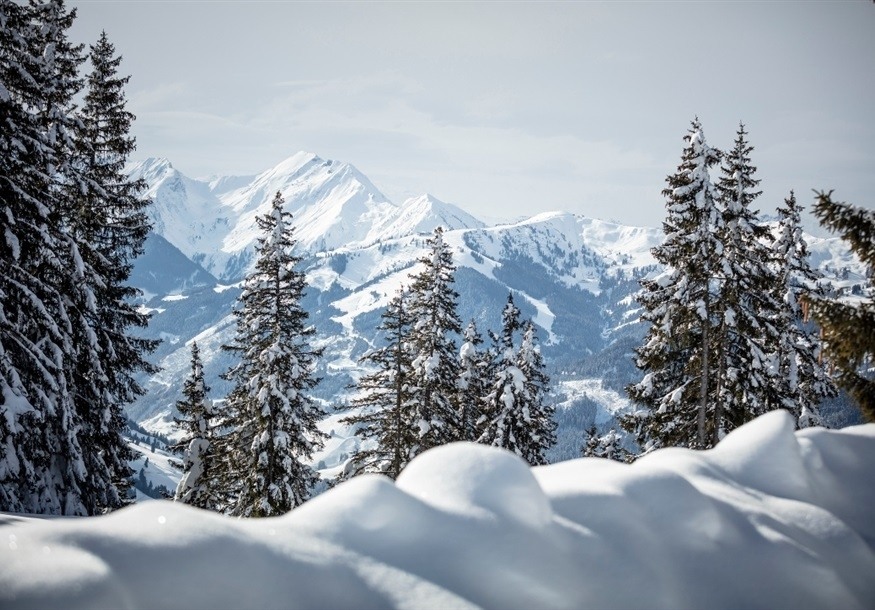Winterwandern - Hadeggweg