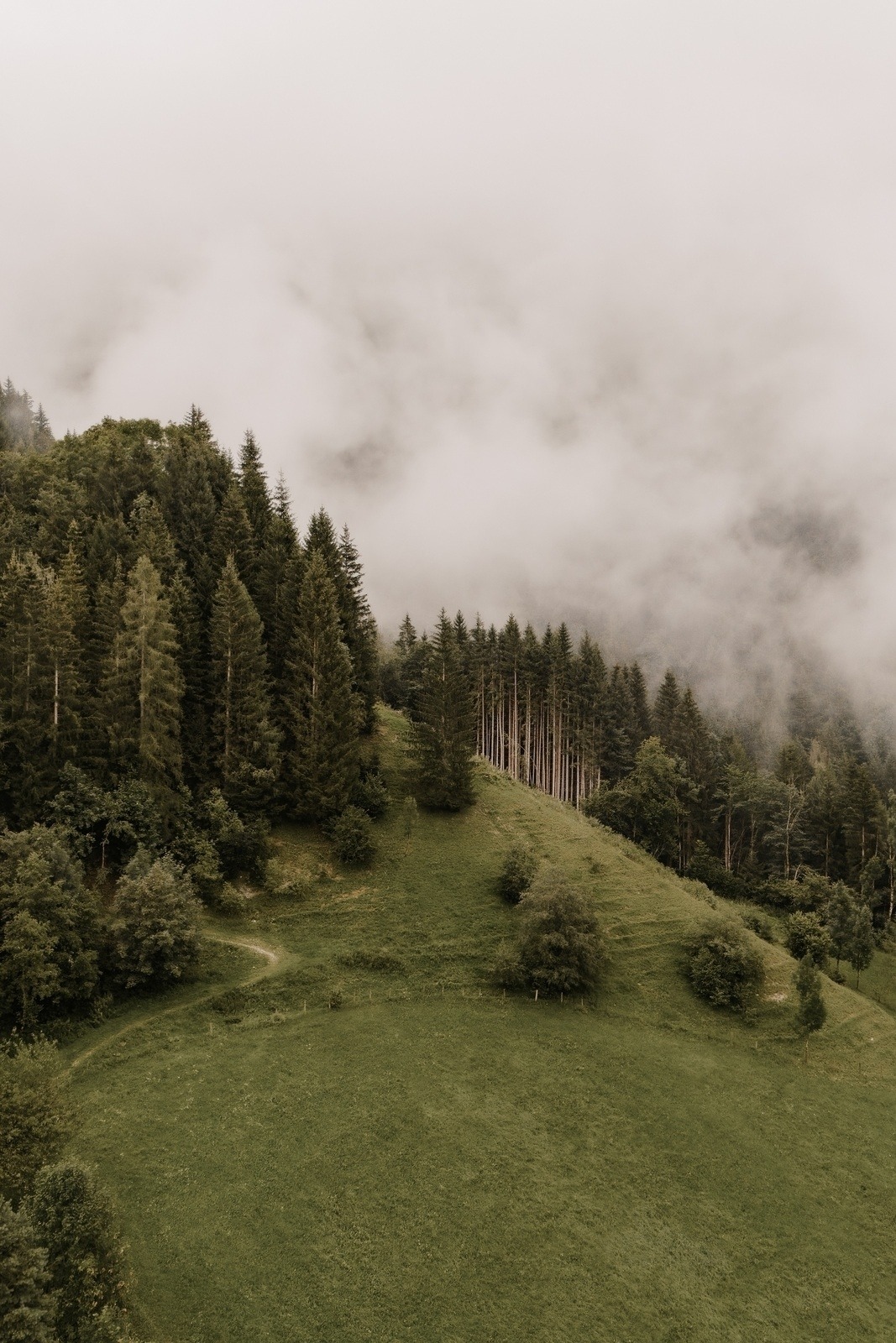 Forest workshop