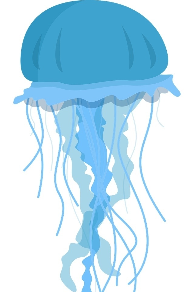 Creiamo una medusa image