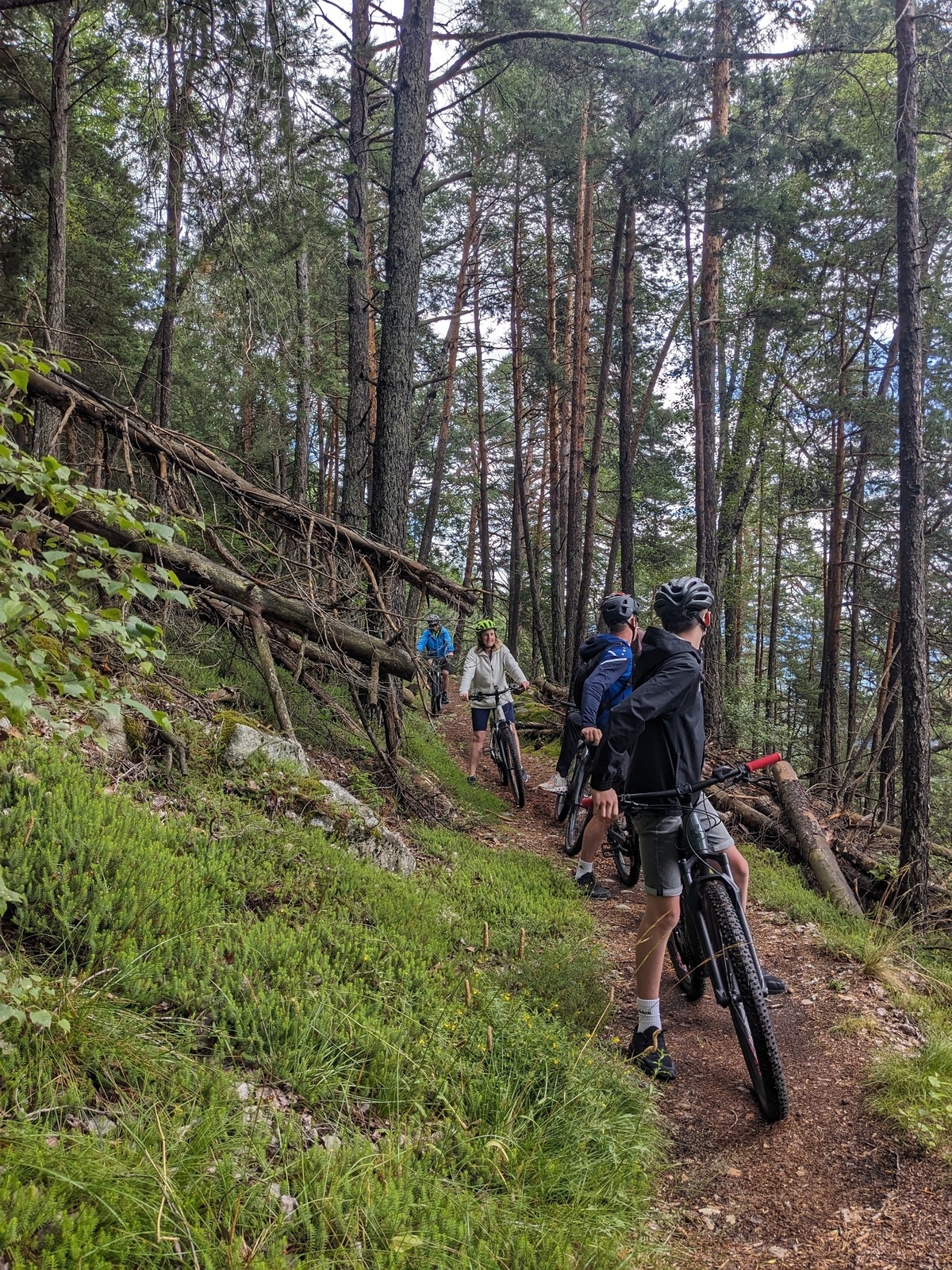 Pustertal Adventure: The Ultimate E-Bike Tour (moderate difficulty)