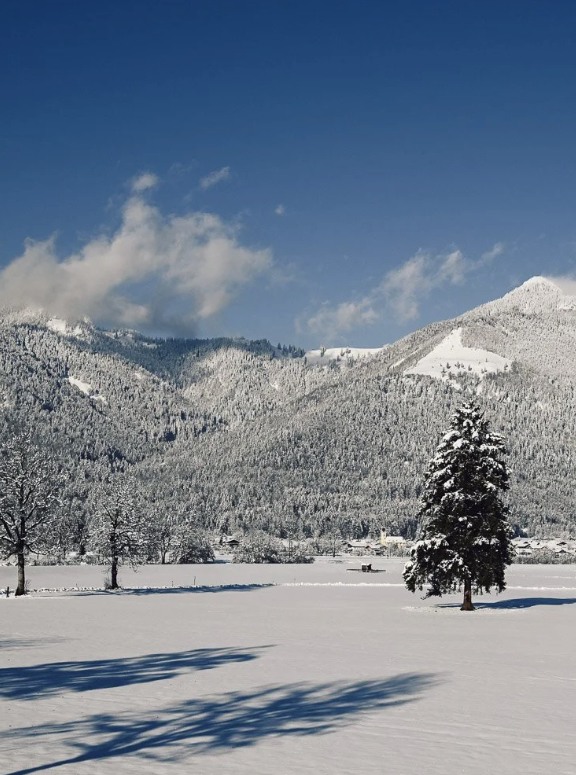 * Easy winter walk with Jana