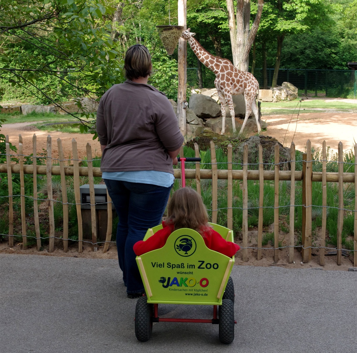 Nuremberg Zoo (feeding times and handcart rental)