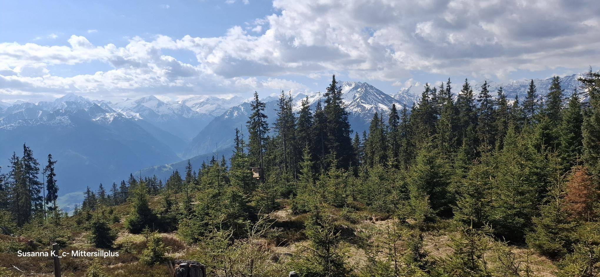 Guided hike to the Stimmelhöhe