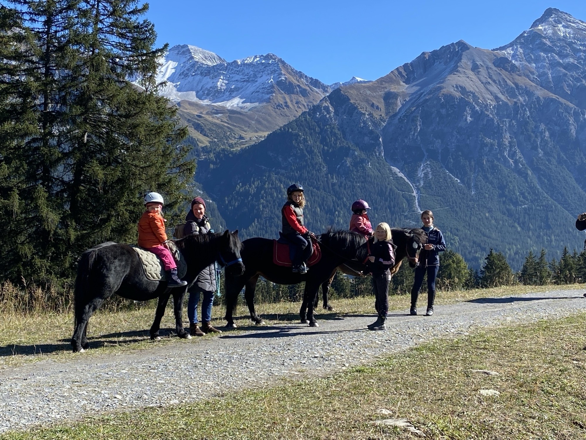 Reiten - Sommerangebot