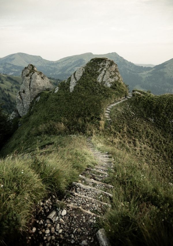 Gemeinde Wanderung: Tour zum Siplinger b7c21308-bdd4-4448-aa89-3b41204020ef.jpg