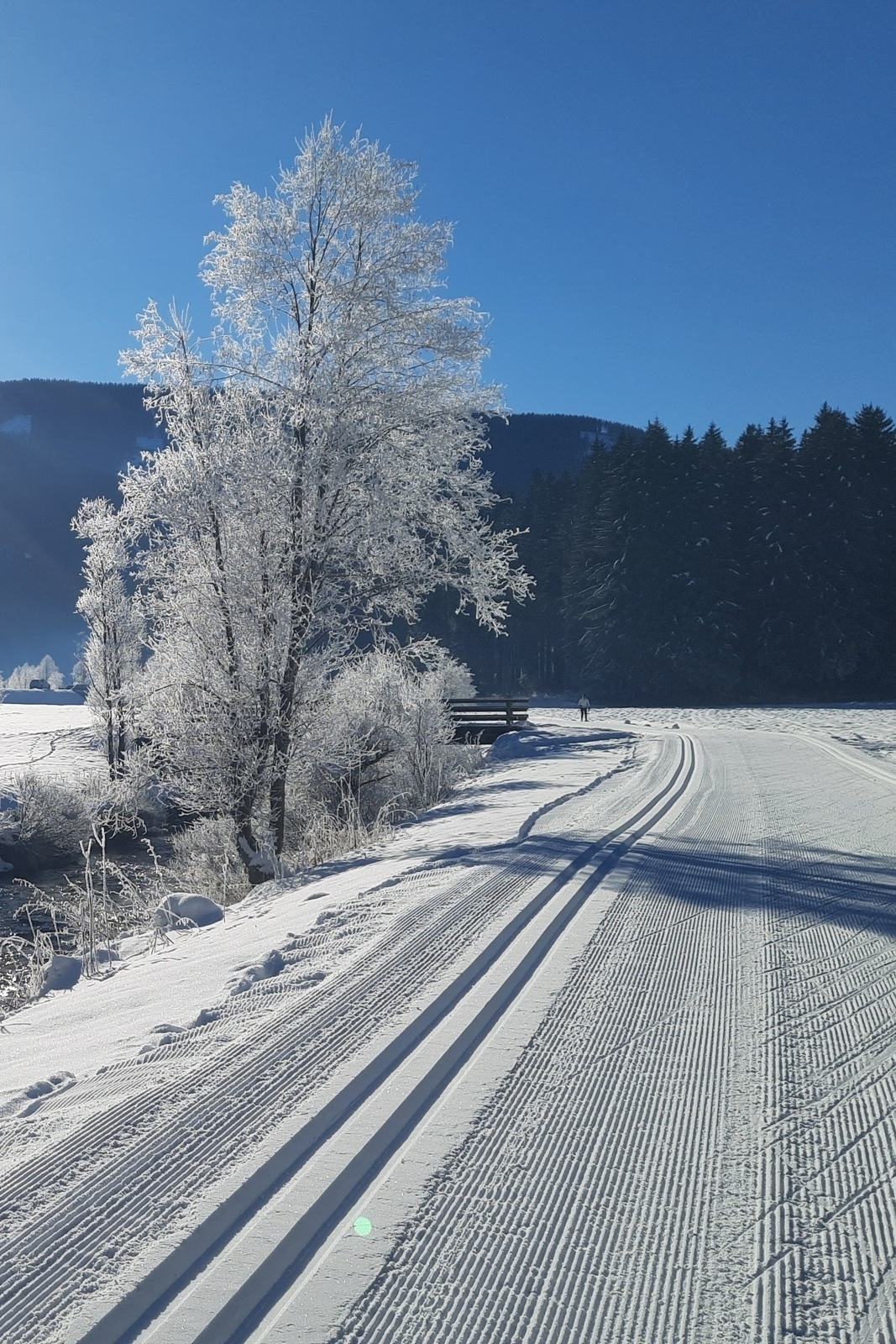 Mittwoch: Skating-Langlaufkurs. Leicht Fortgeschrittene.