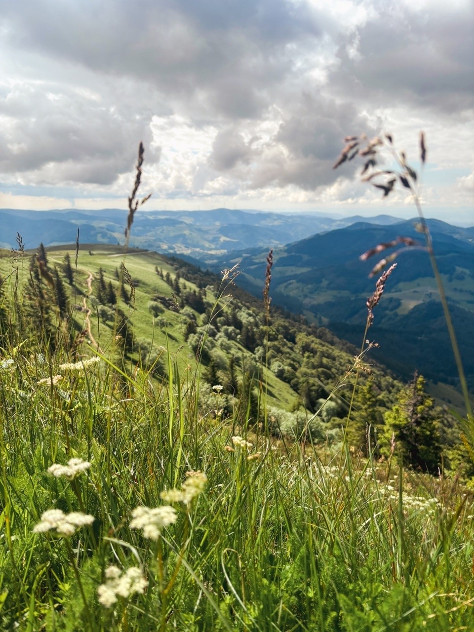 Yoga-Walk- Retreat mit Anja Ulrich