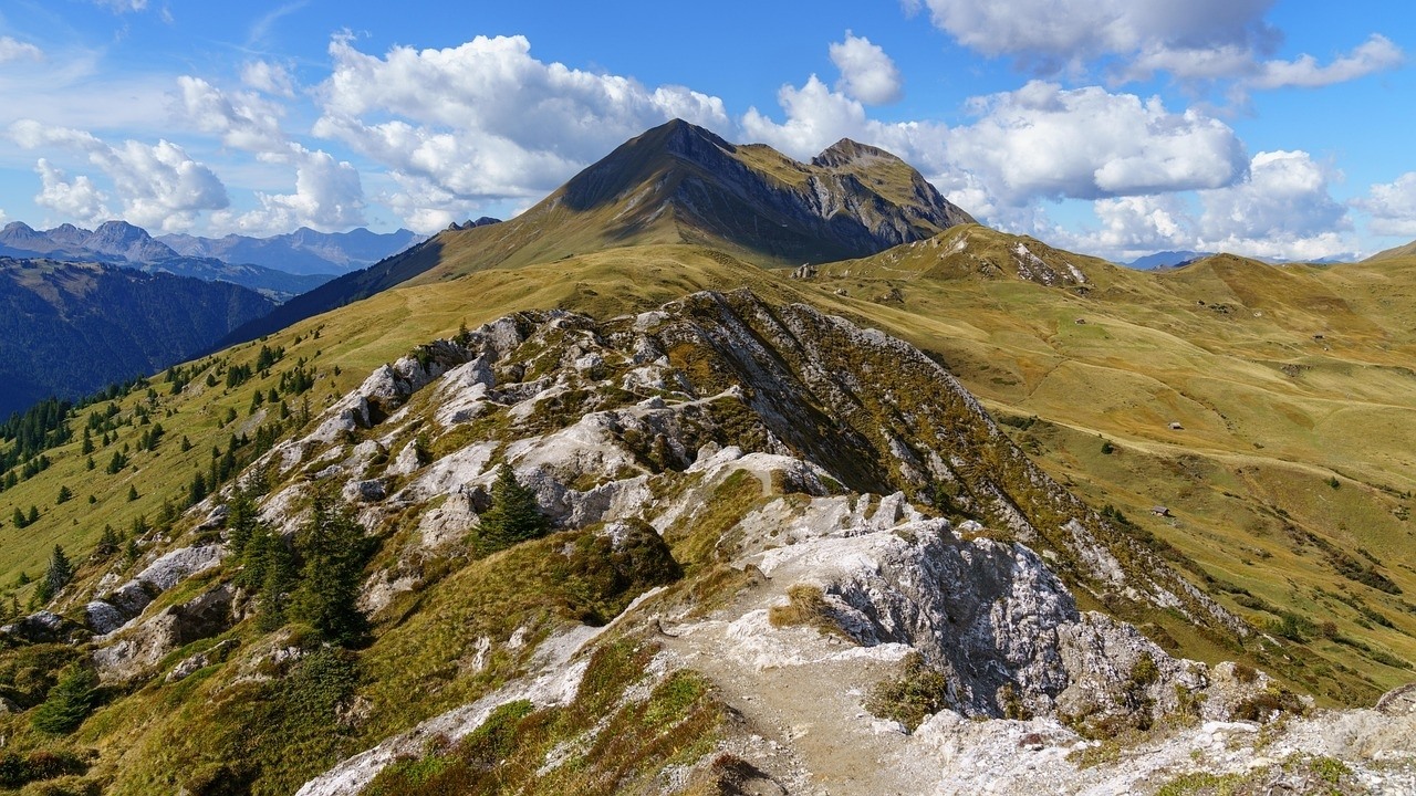 Schatzberg - Riedalm Runde