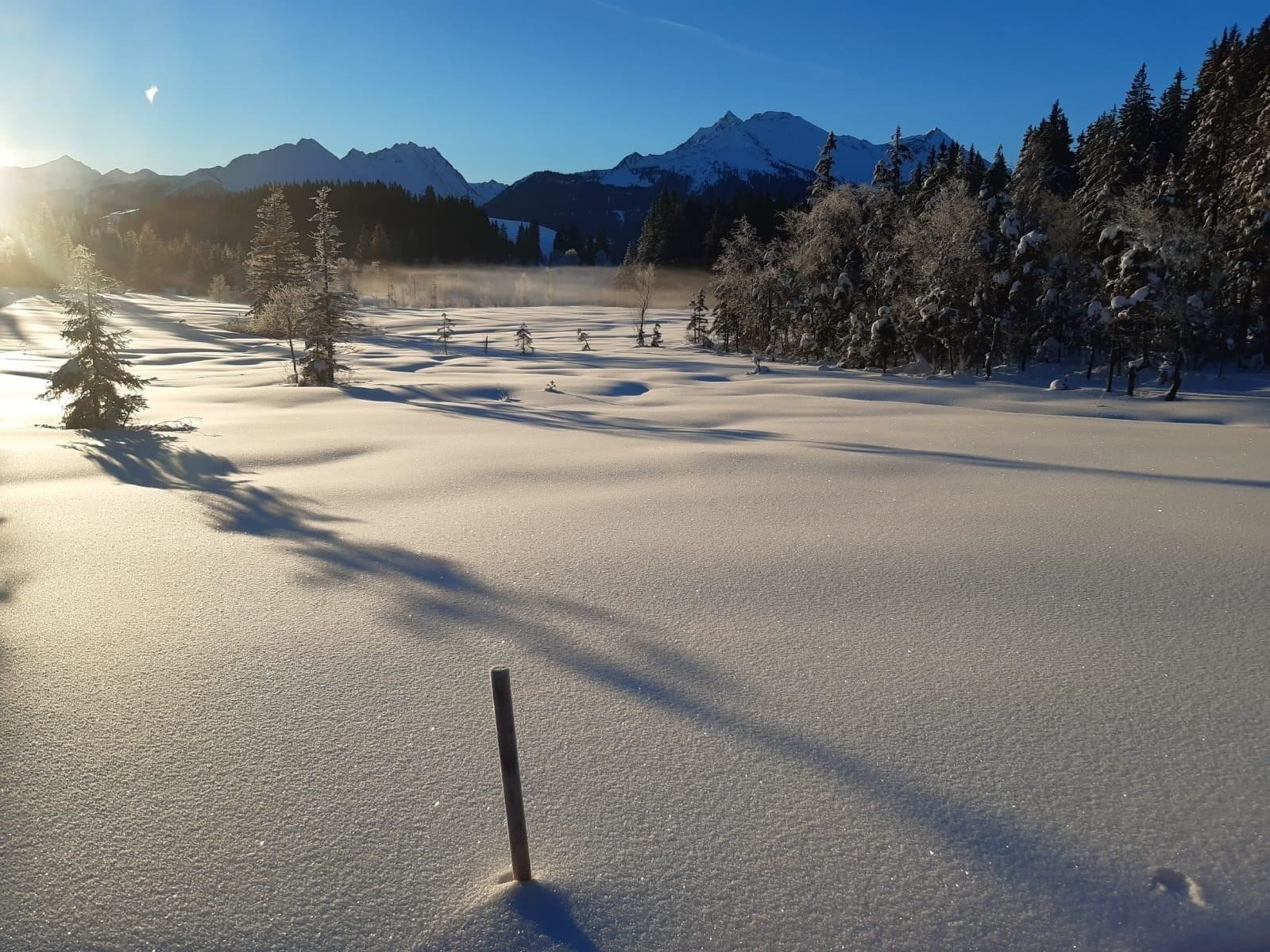 Geführte Schneeschuhwanderung am Hochmoor