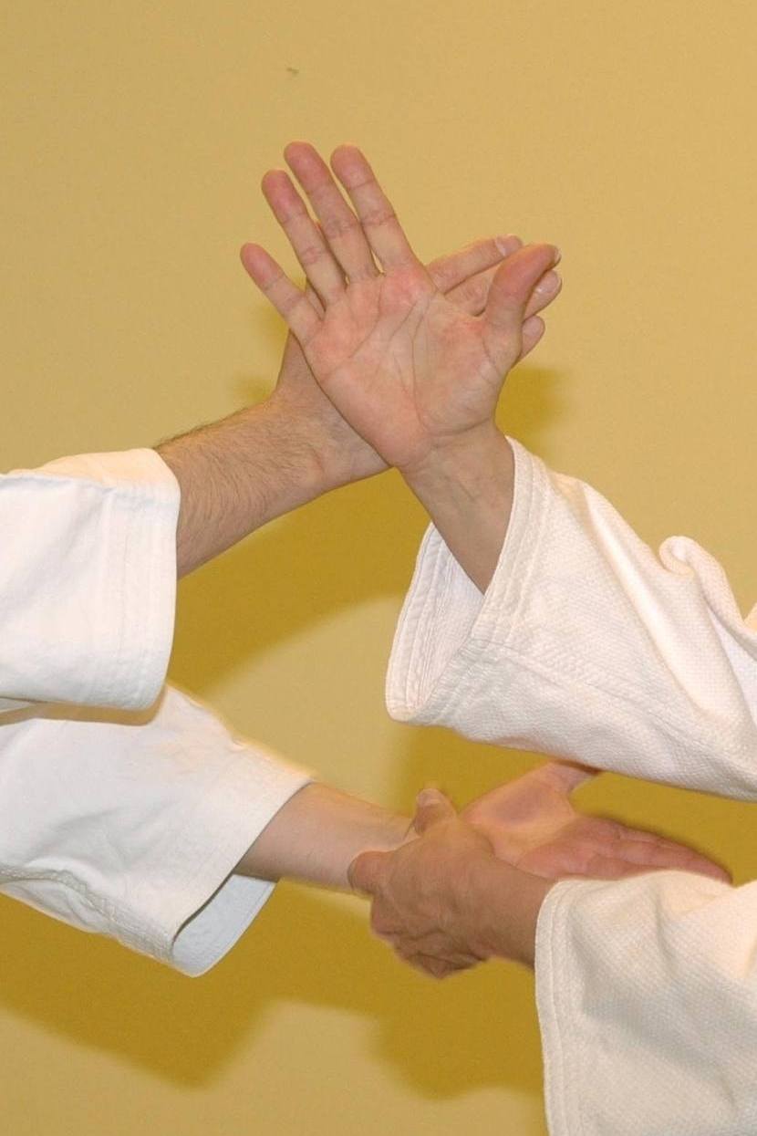 Aikido - The art of harmonious movement - CANCELLED!