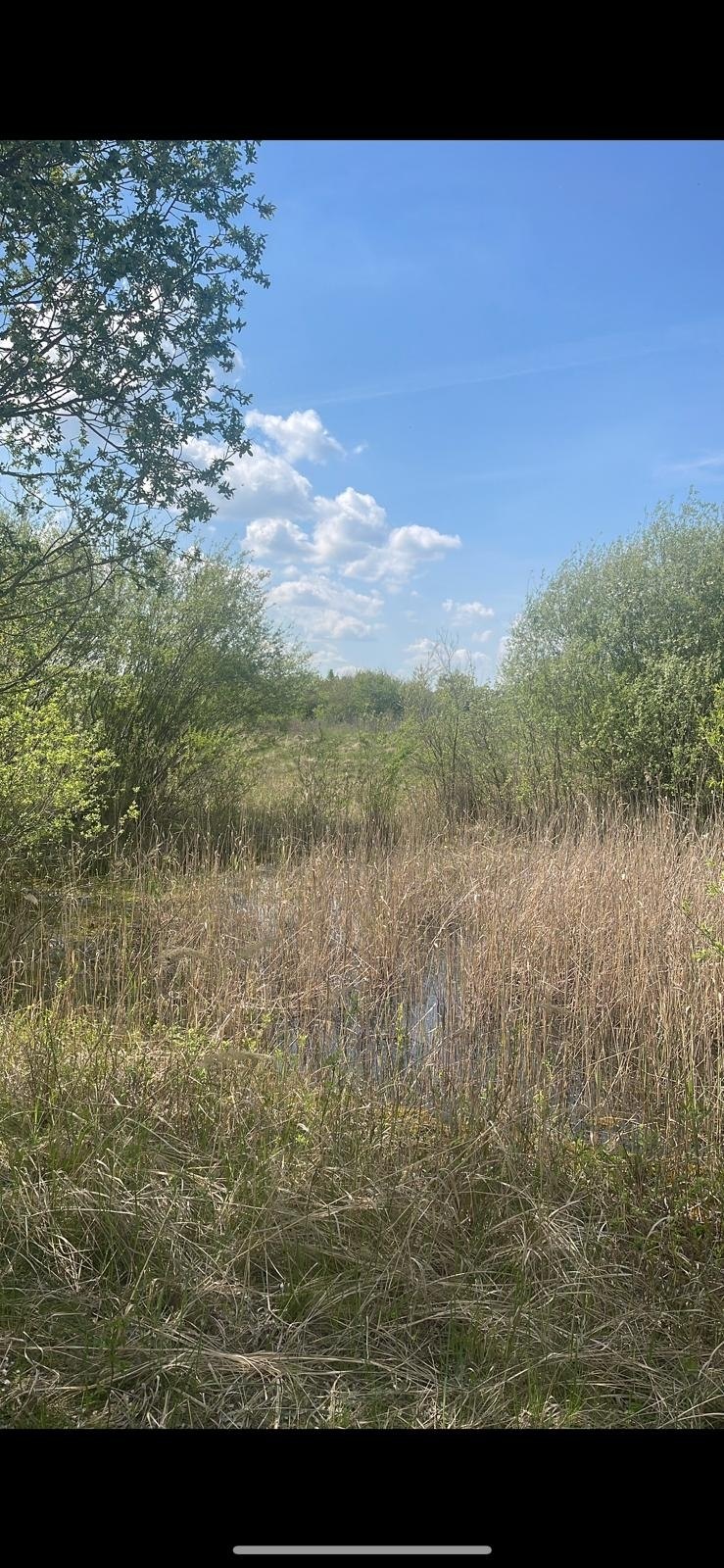Biwakübernachtung in der freien Natur