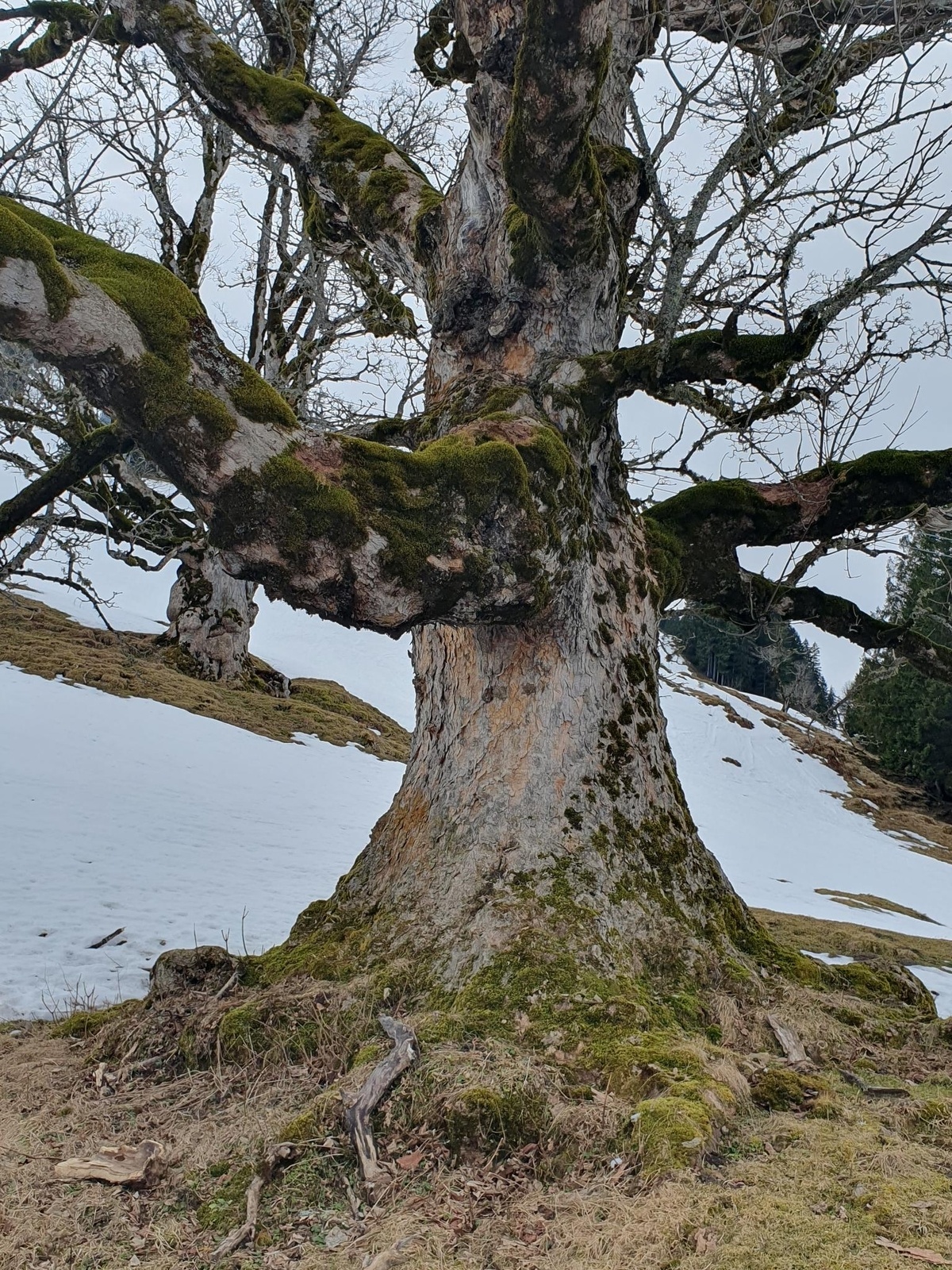 Familienerlebnis - Entdeckungstour im Winter