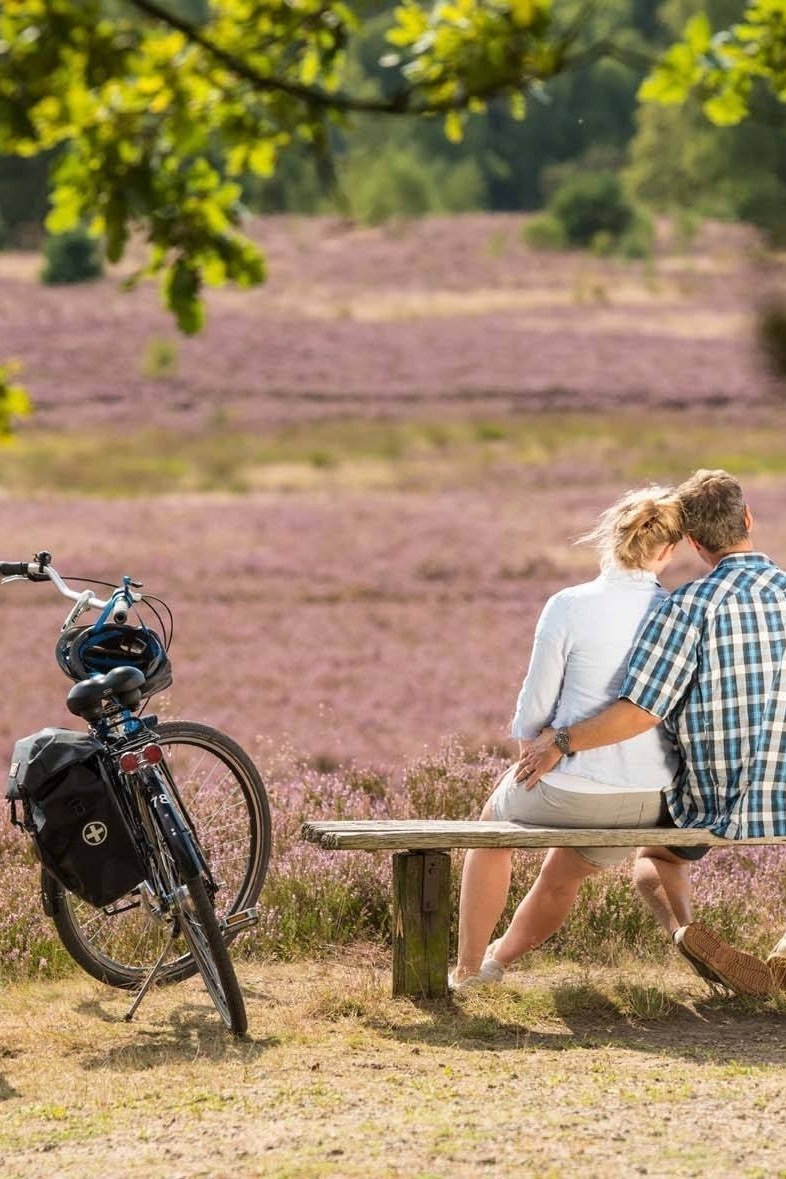 Cycling around Celle & the Südheide