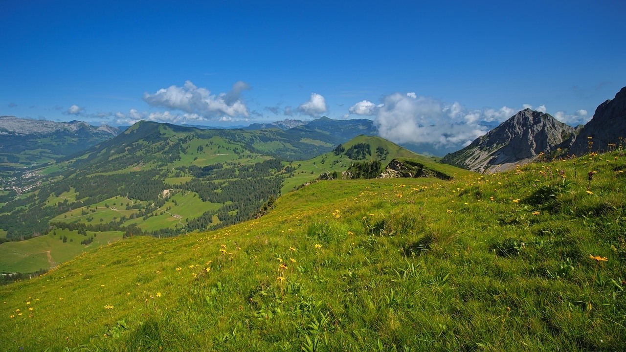 Panoramaweg Wiedersberger Horn