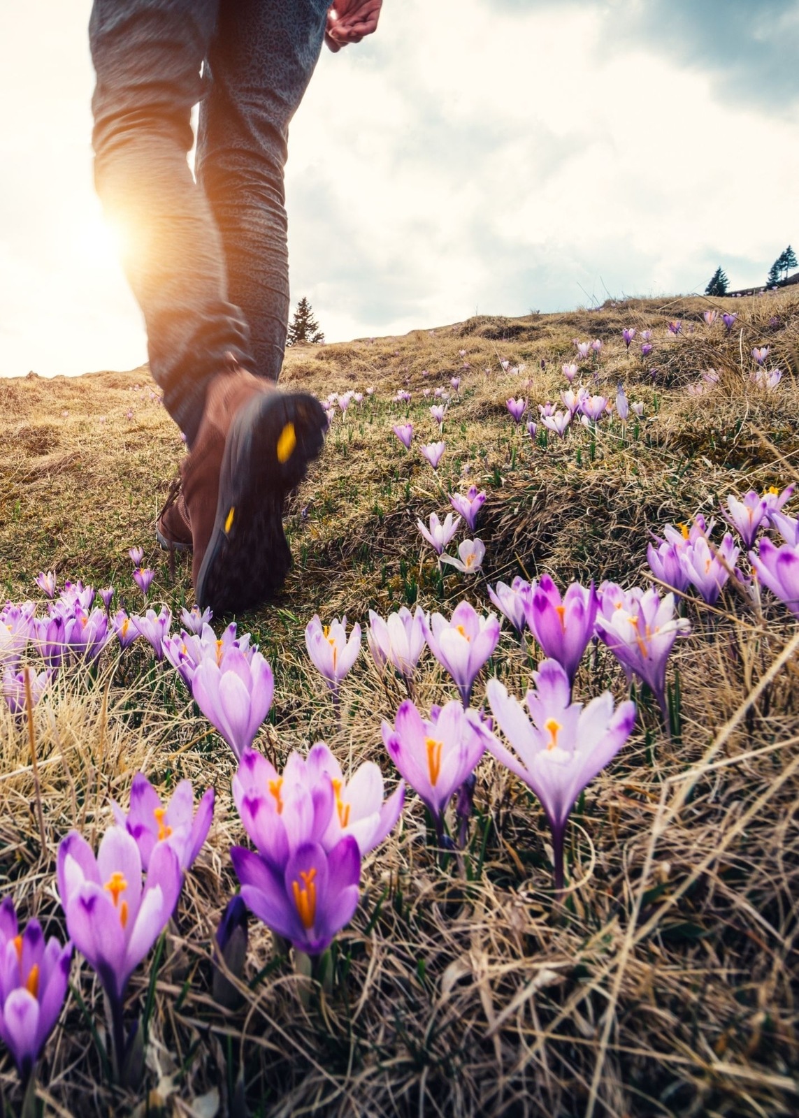 Geführte Wanderung mit gemütlicher Einkehr