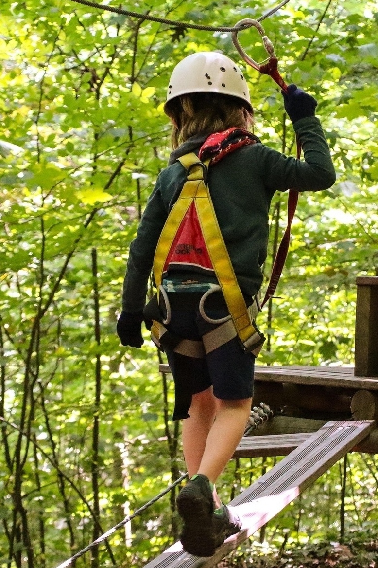 Adventure in nature: discover the Weiherhof climbing forest