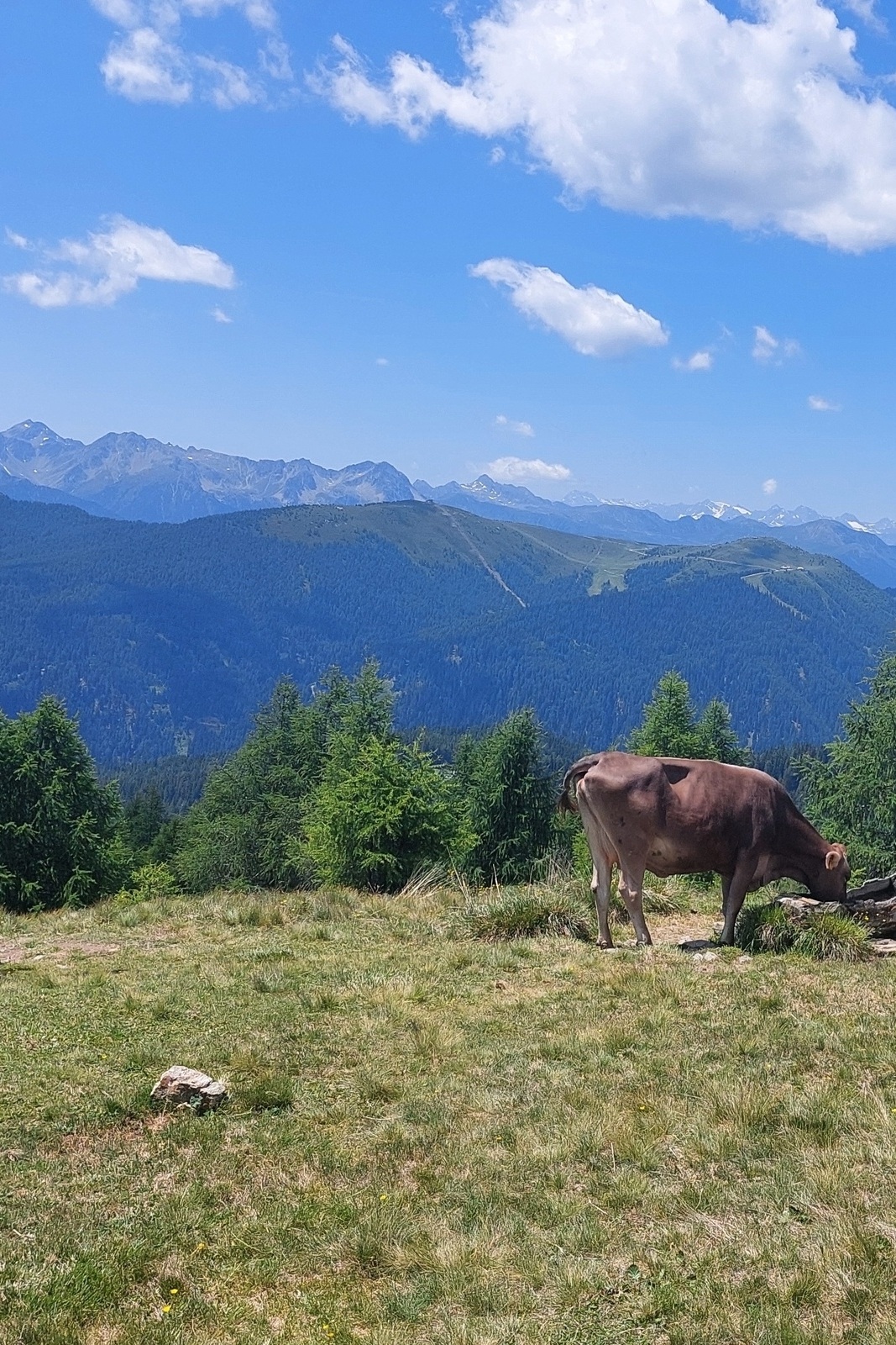 Hike | Around Gitschberg*