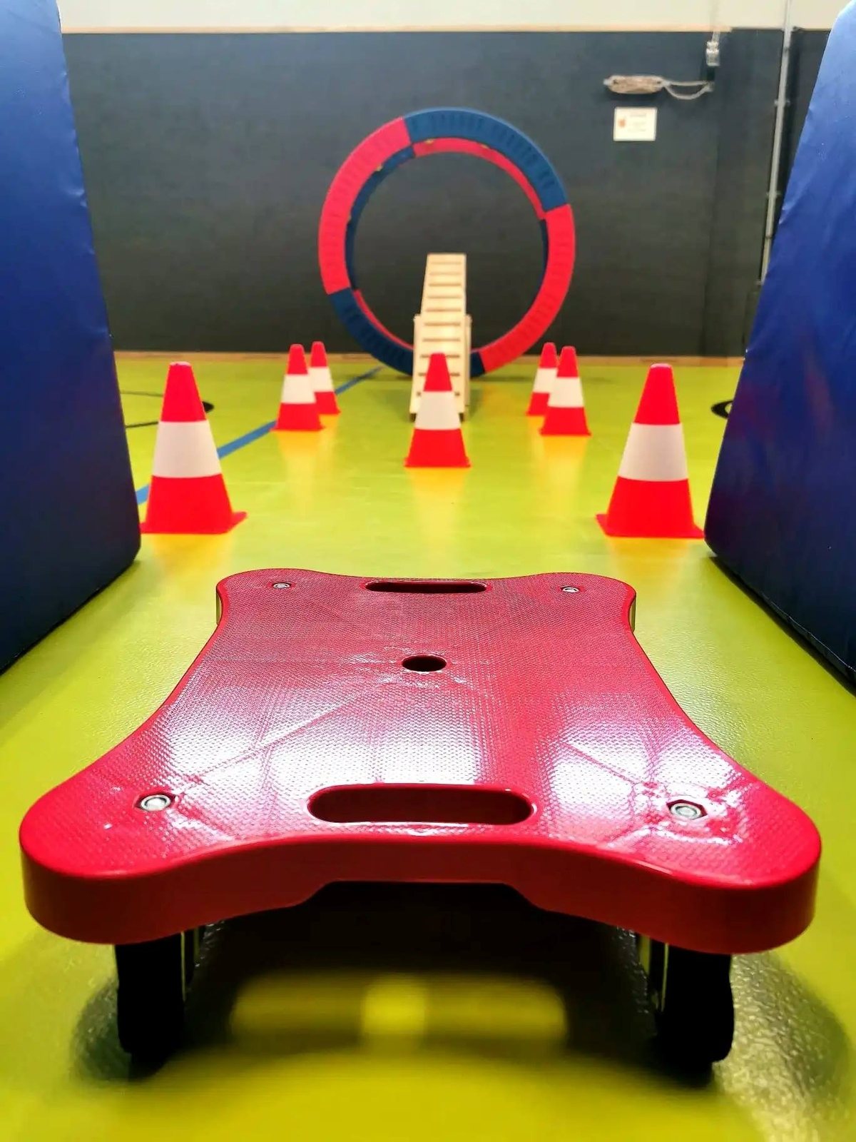 Rollerboard challenge for KIDS aged 7 and over