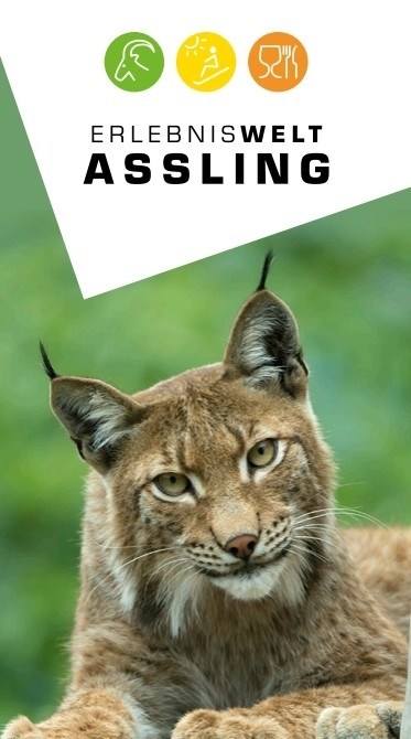 Wildpark Assling