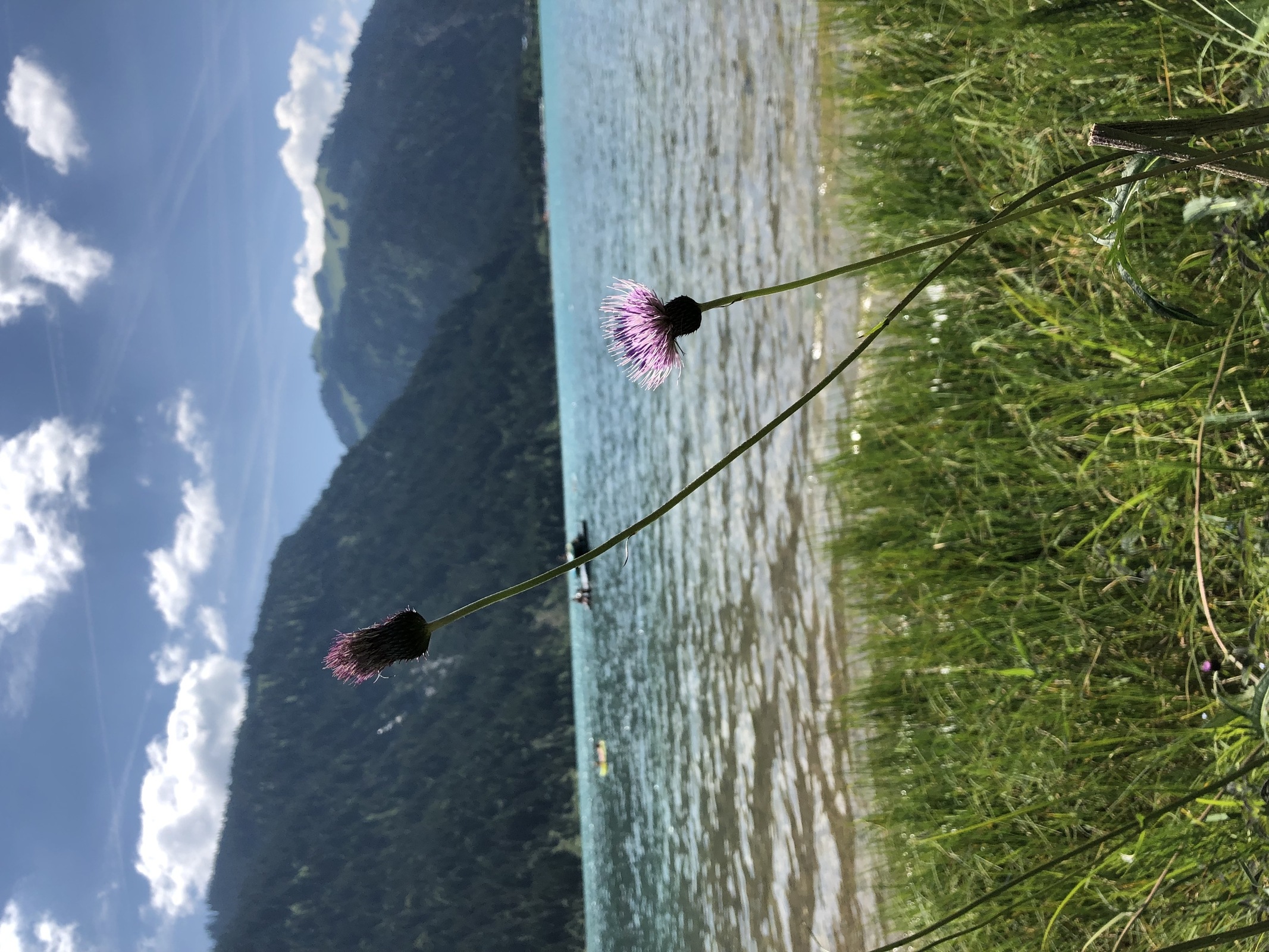  Adlerhorstrunde