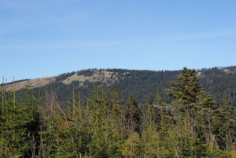Brenessriegel circuit (hike)
