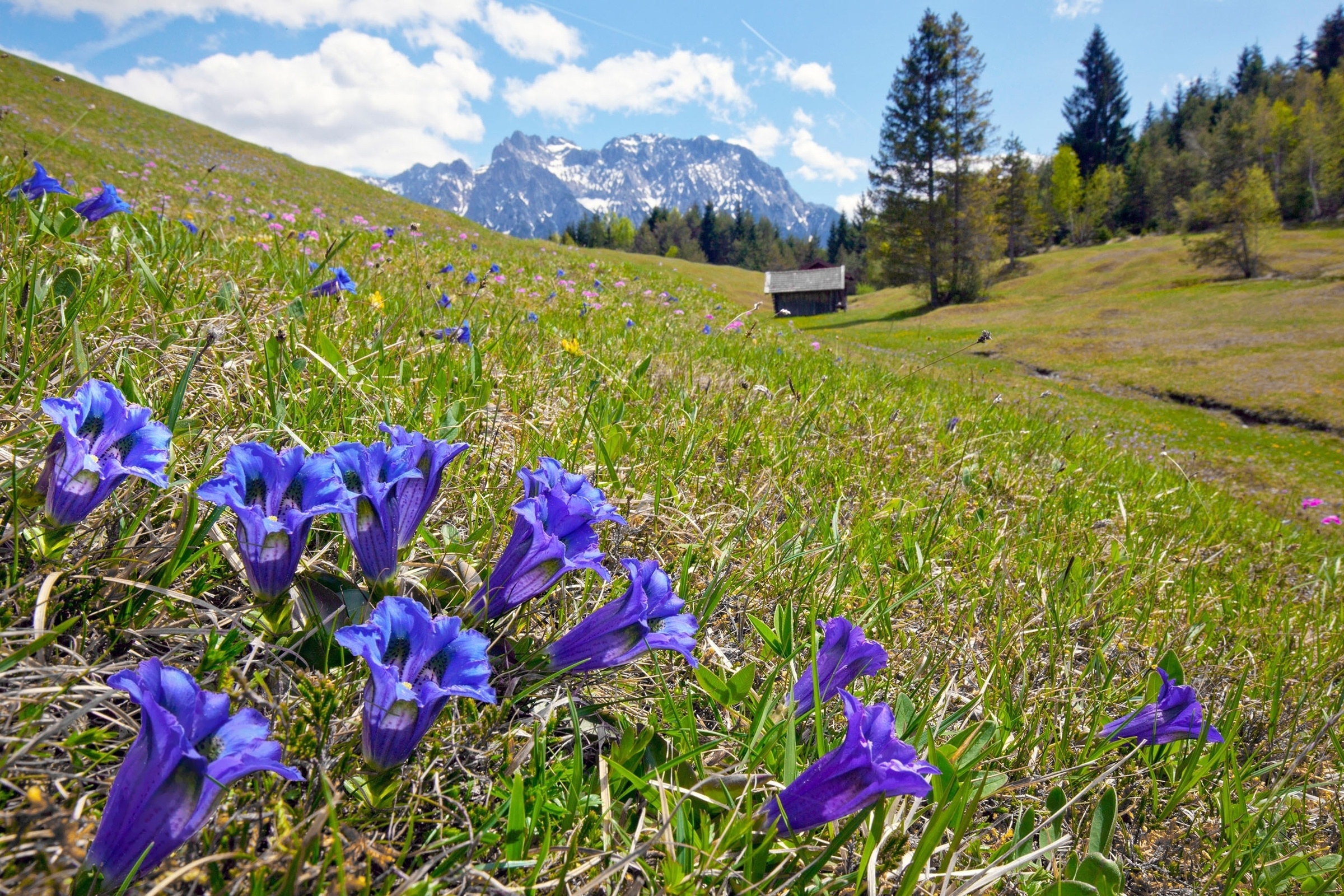 Hinterbergtal hike