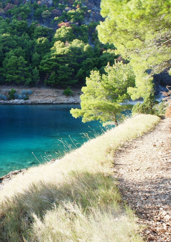 Nordic Walking - Pinien und Mehr