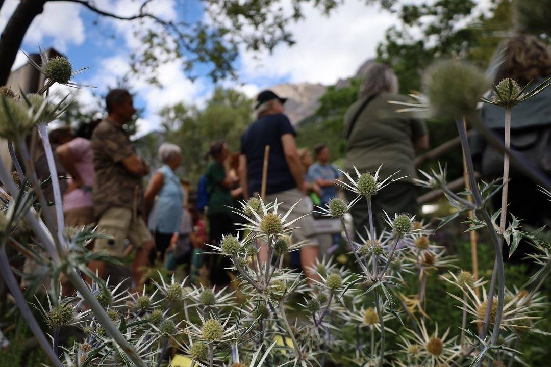 Guided tour of the Alpine Botanical Garden "Rezia"