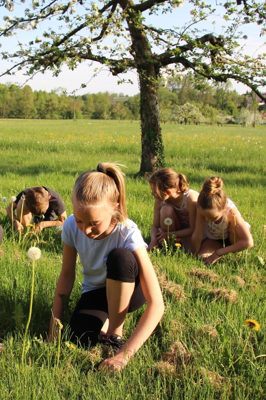 Family experience - discovery tour in spring