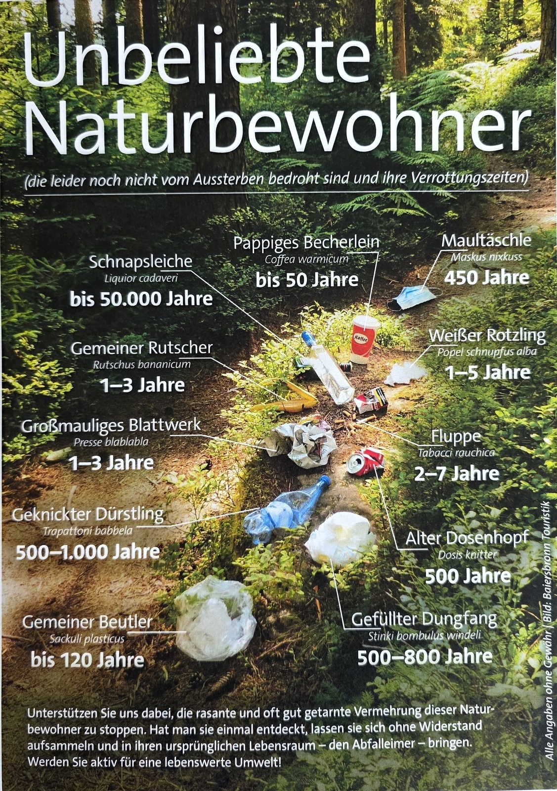 CleanUp Day – Gemeinsam für eine saubere Natur