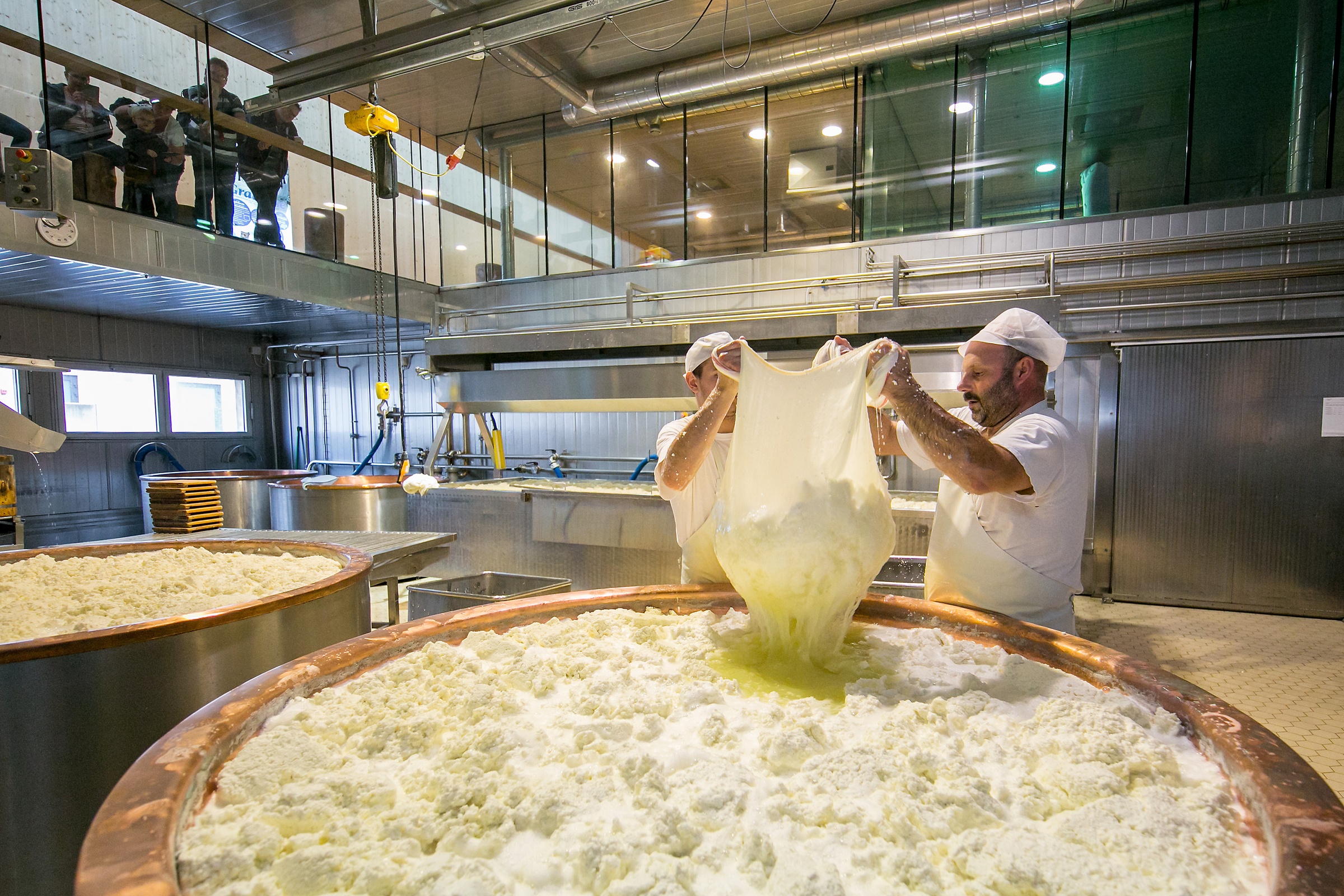 Zillertal Alpine Dairy Experience
