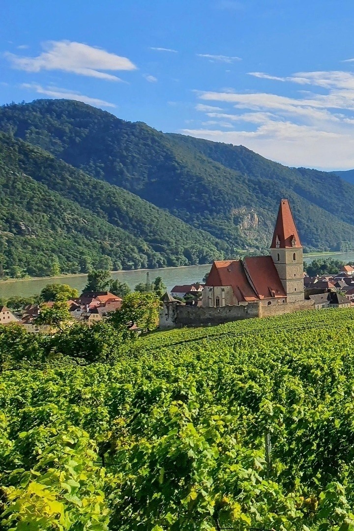 Wachau cycle path: discover the UNESCO landscape by bike
