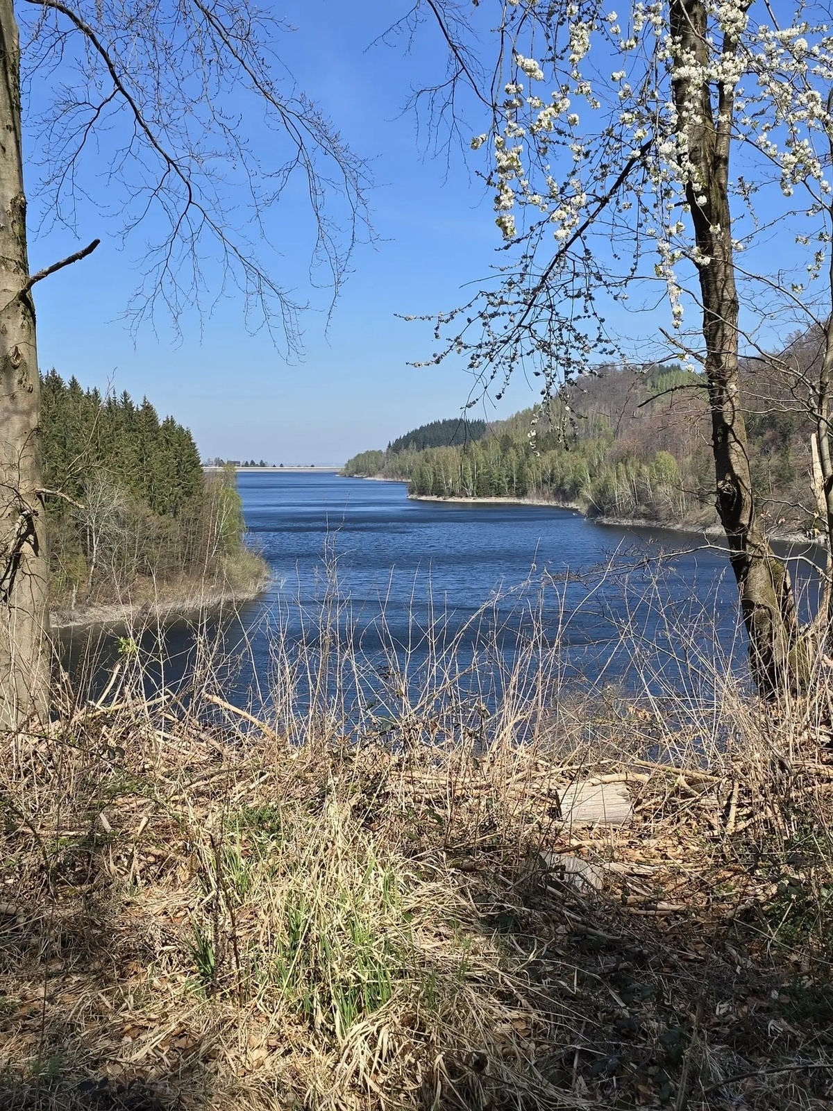 Tagestour um die Granetalsperre mit Einkehr auf der Steinberg-Alm