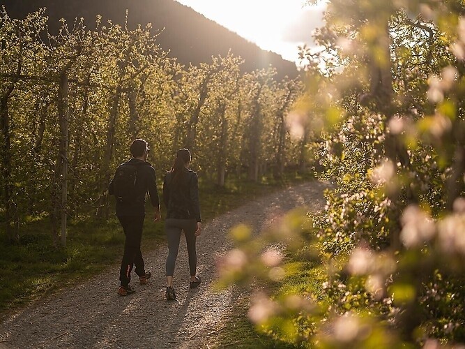 With the farmer's wife through the orchard