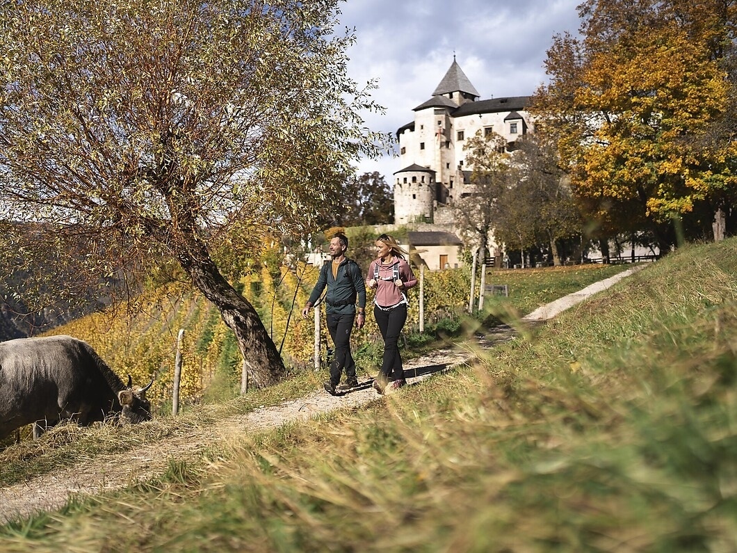 Geführte Wanderung auf dem Oachner Höfeweg