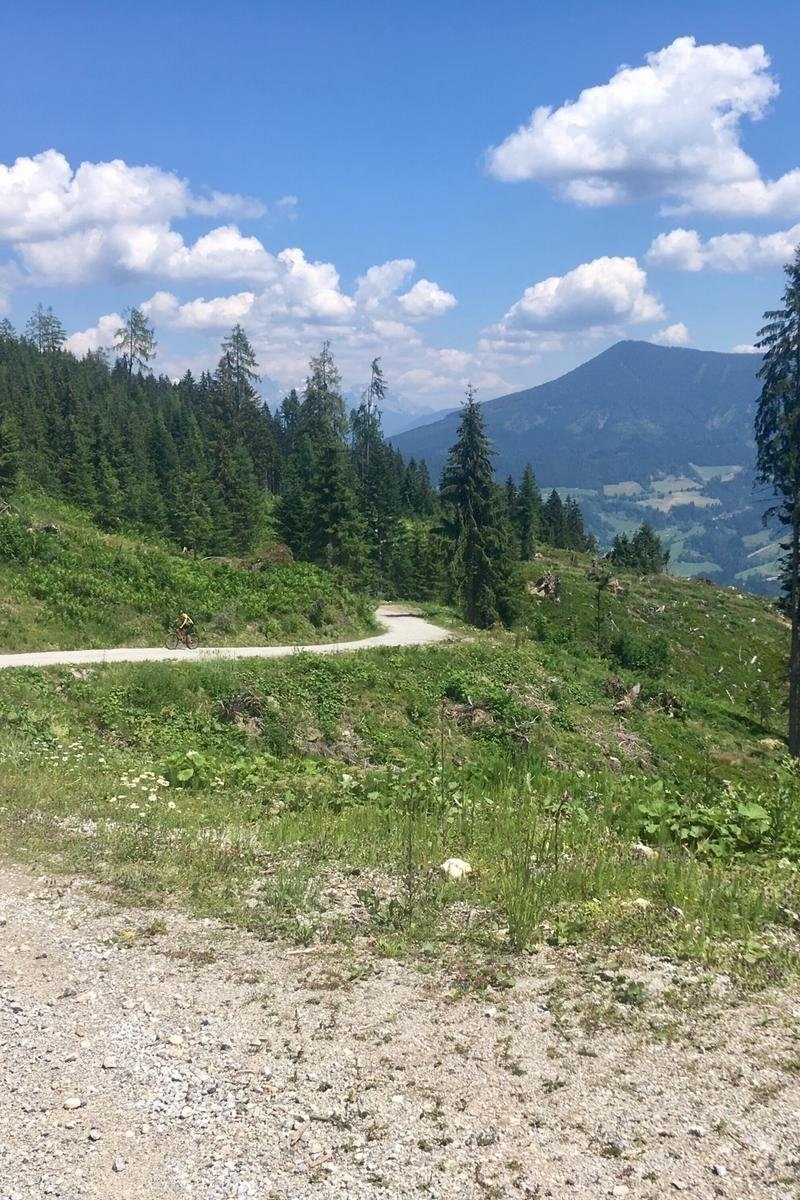 Bike tour to the Viehbergalm - difficult