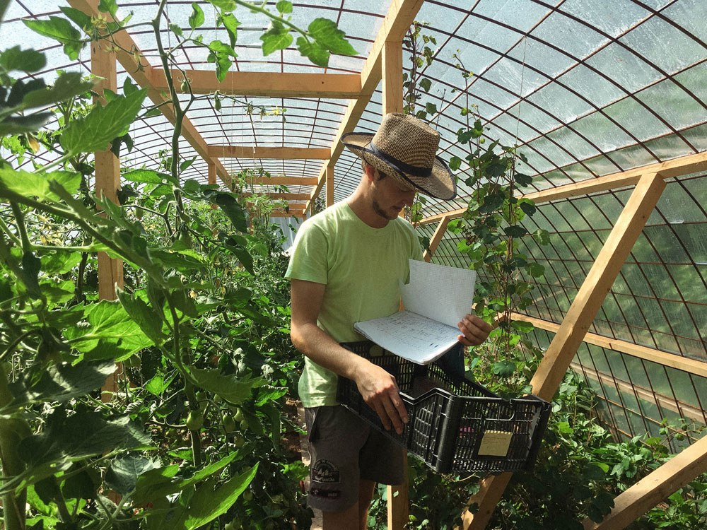 Guided tour through the permaculture gardens
