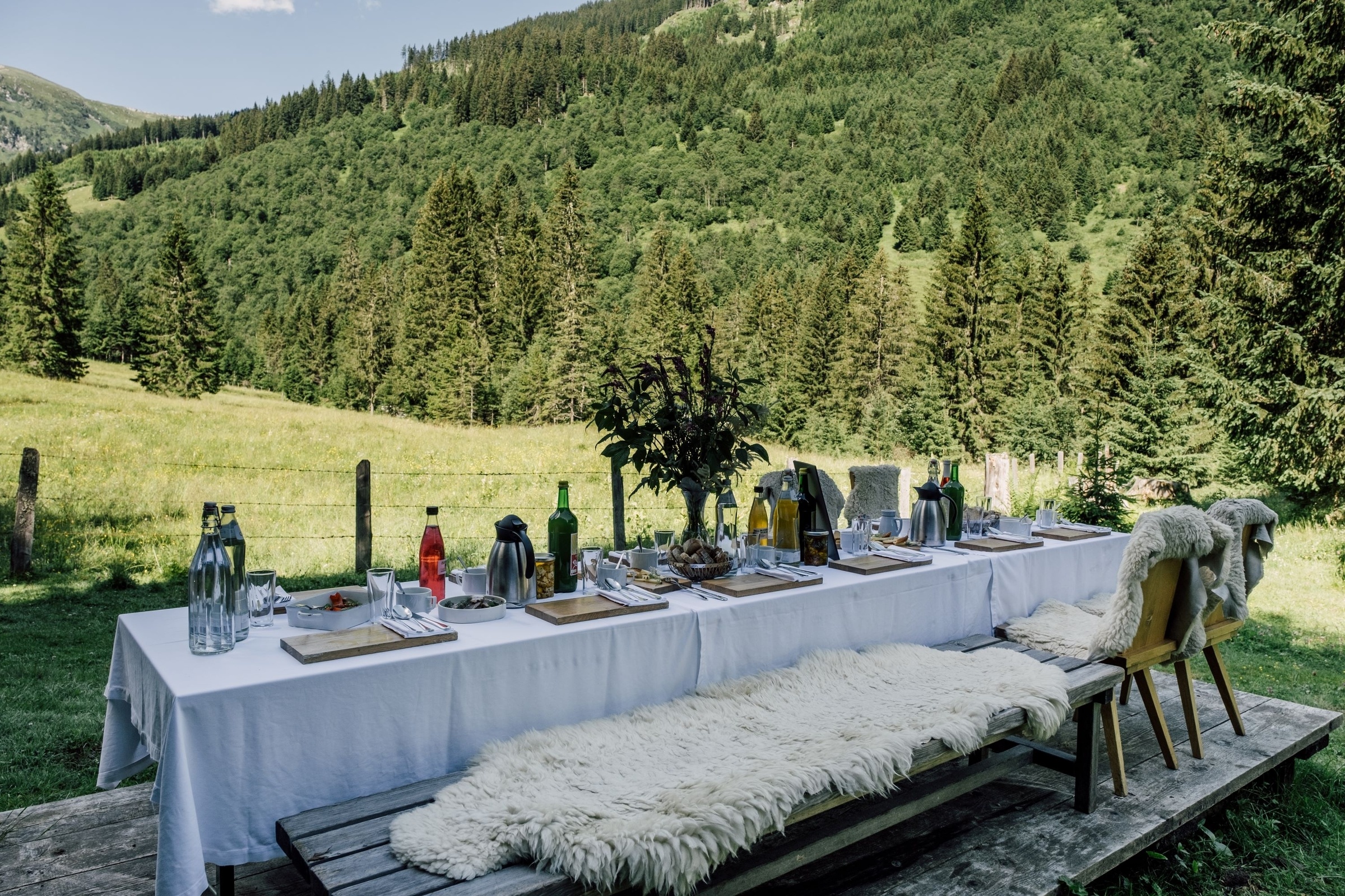 Forest brunch in the Angertal