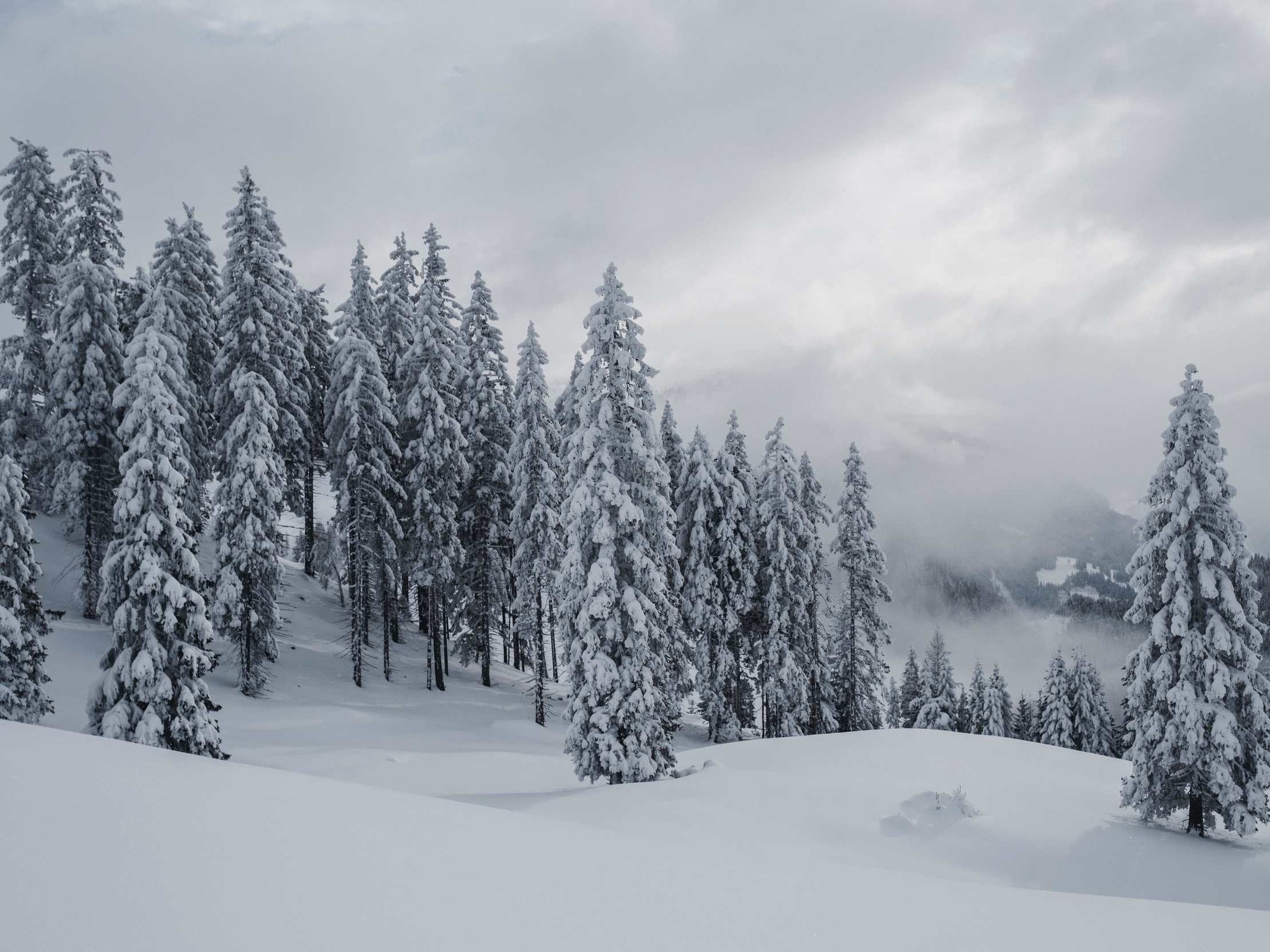 Winterwonderland Zederberg-Rabenkanzel